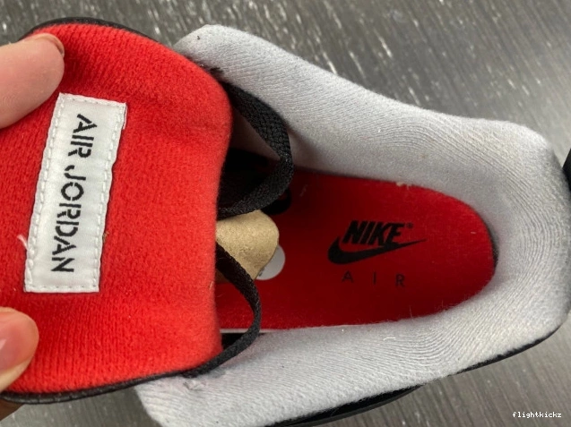 4 Bred Jordan Air FV5029-006 Reimagined 1017